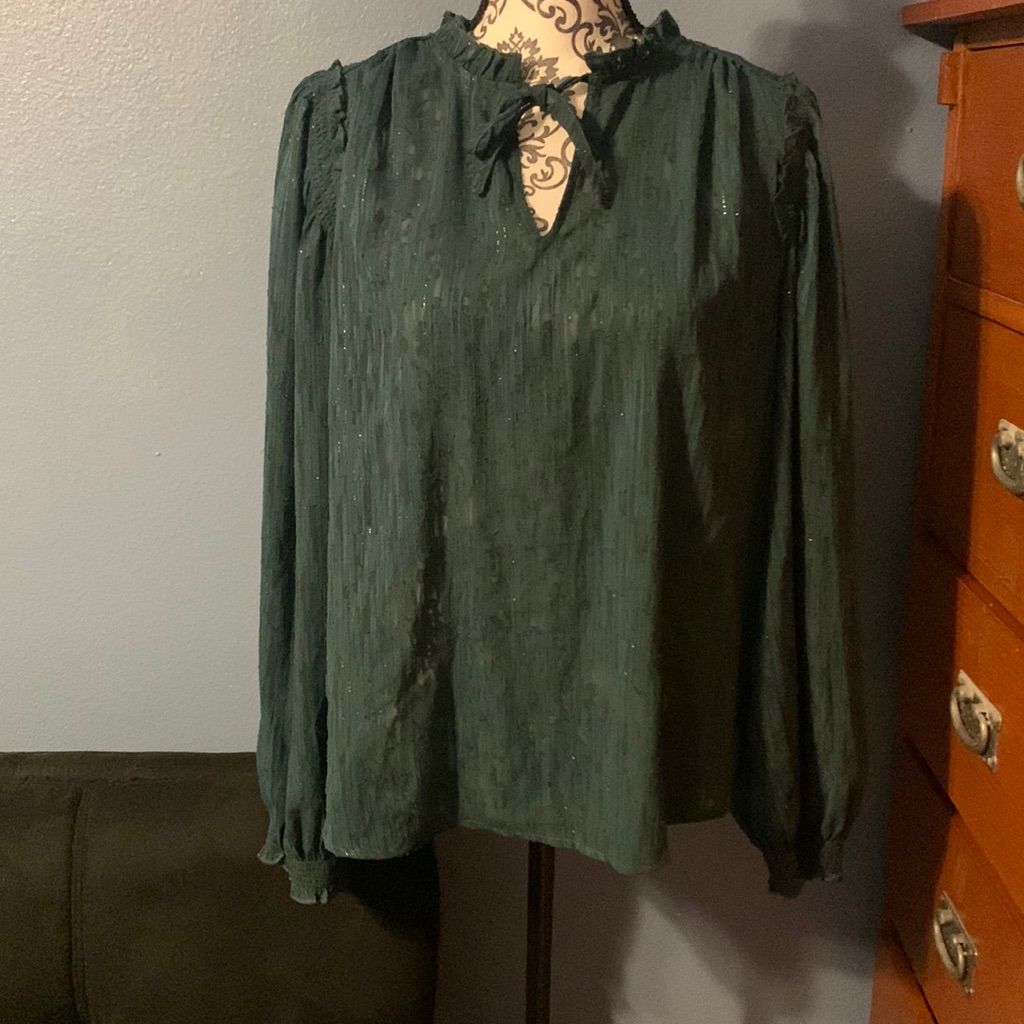 Fantastic Green Semi Sheer Blouse